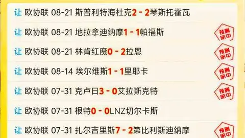 裁判风波再起：苏群揭露砸球球迷不满，黎巴嫩外援成焦点，处理结果引关注